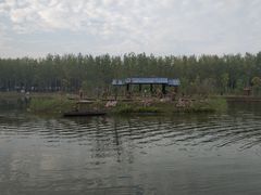 -合肥滨湖国家森林公园