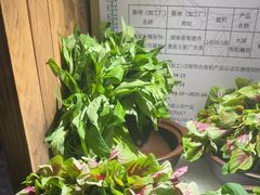 -筱爷叔·上海传统手工菜(玉树路店)