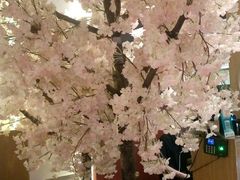 -栖川山葵家·寿喜锅·日式料理(龙湖北城天街商场店)