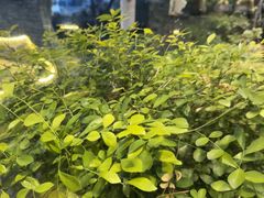 -树厨贵州菜(铜仁花果山店)