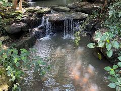 -水濂山森林公园