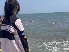 -老虎石海上公园