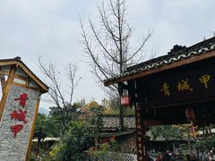 -青城甲(青城山店)