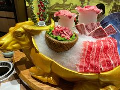 -尚海豆捞(乐虹坊店)