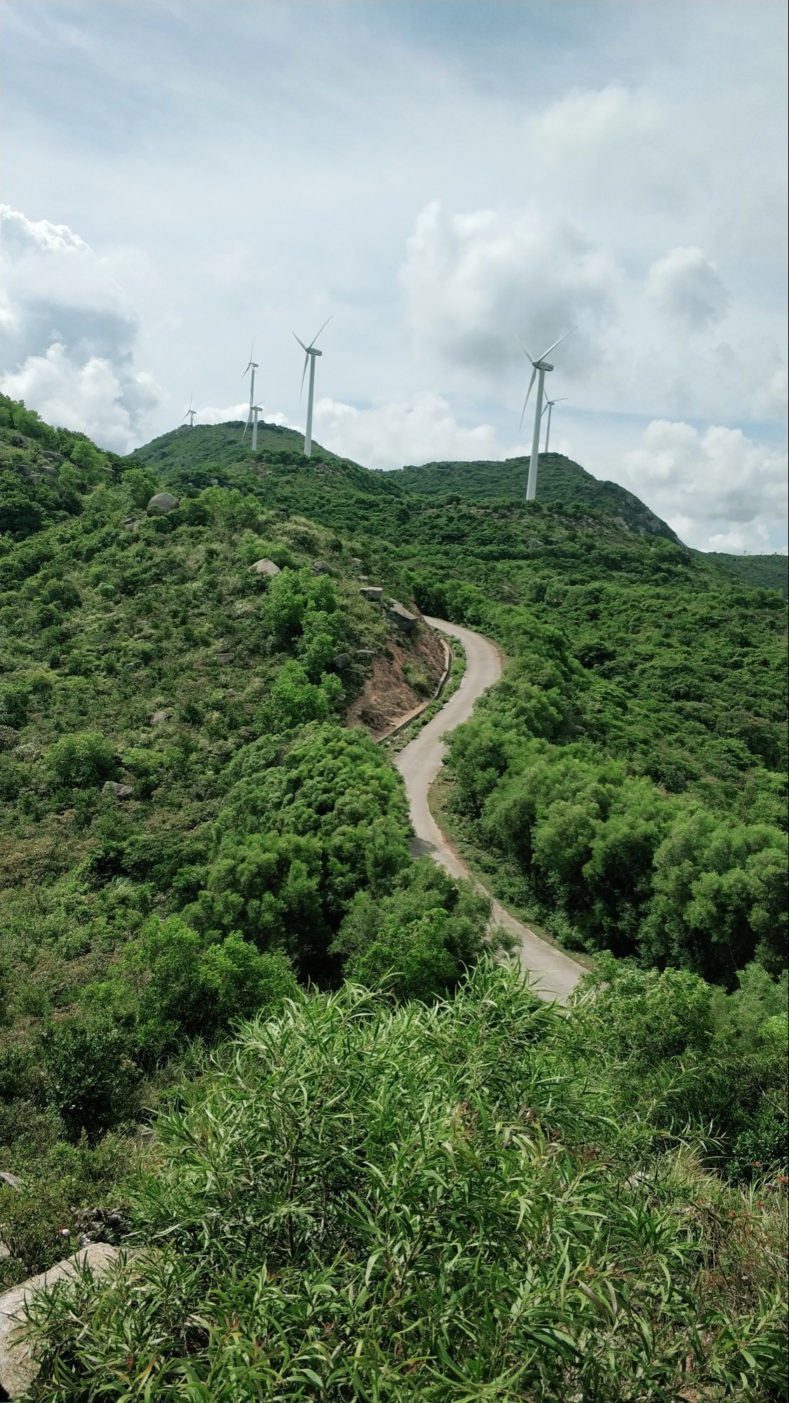 隆文风车山图片