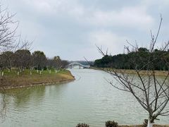 -上海海湾国家森林公园