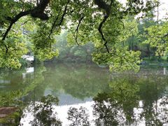 -杭州花家山庄