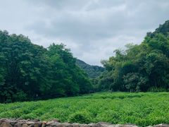 -杭州西湖风景名胜区-三生石