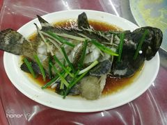 清蒸石斑鱼-三亚老渔民海鲜店