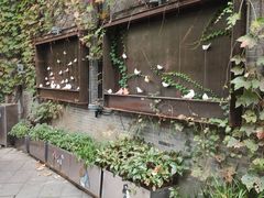 -得丘礼享谷·玉兰苑