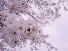 -龙美术馆(西岸馆)