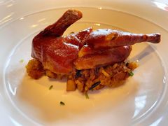 乳鸽-三号黄浦会Canton Table