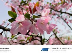 -花开海上生态园