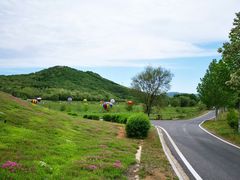 -大连铭湖国际观光牧场