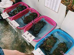 -龙海鲜螃蟹王(宏茂桥店)