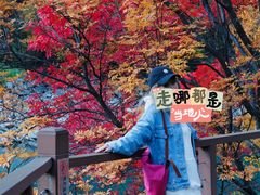 -叠溪松坪沟景区