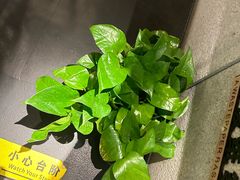 -新紫霞养生·影院足道·SPA(金山区店)