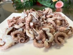 八爪鱼-颐和海鲜饺子