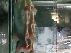 -蛙鱼道美蛙鱼自助火锅(新耍都店)