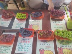 -马陆小张葡萄园农家乐