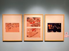 -【朵云轩艺术中心】博洛尼亚插画展·中国巡展·上海站