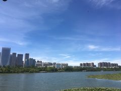 -洛龙公园