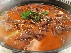 -付掌柜在成都·热炒砂锅集(金禾店)