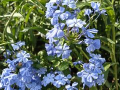 -东华门大街小区