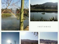 -丹樱生态园
