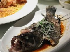 清蒸石斑鱼-鱼乐轩·俄罗斯海鲜直供餐厅(群力店)
