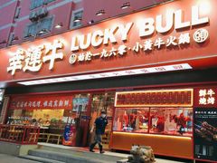 -幸运牛汕头小黄牛牛肉火锅(梅林店)