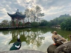 -广州神农草堂中医药博物馆