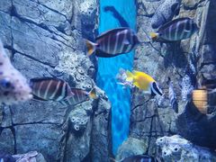 -成都浩海立方海洋公园