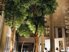 大堂-博林天瑞喜来登酒店·西丽尚膳