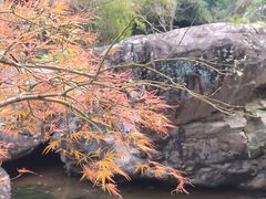 -刘伯温故里景区百丈漈