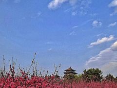 -莲花池公园