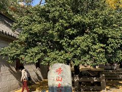 -青岛崂山太清宫