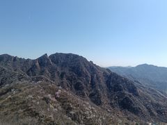 -大岭沟猕猴桃谷风景区