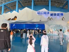 -泉城欧乐堡海洋极地世界