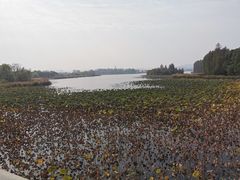 -东湖落雁景区