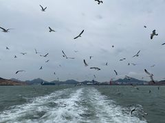 -海驴岛(荣成市)