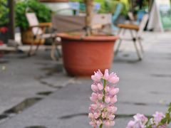-Beans Solo豆号咖啡(百家湖花园店)