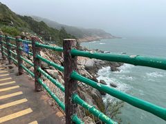 -广东惠东海龟国家级自然保护区