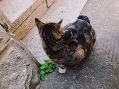 -宝通禅寺