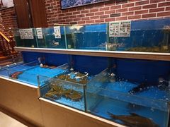 水产区-姜君·千岛湖鱼头馆(浦东大道店)