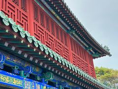 -蓬莱阁景区