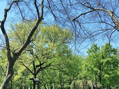 -WeLope紫金山探险公园