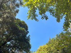 -狼山风景名胜区