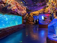 -芜湖新华联大白鲸海洋公园
