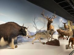 -陕西自然博物馆